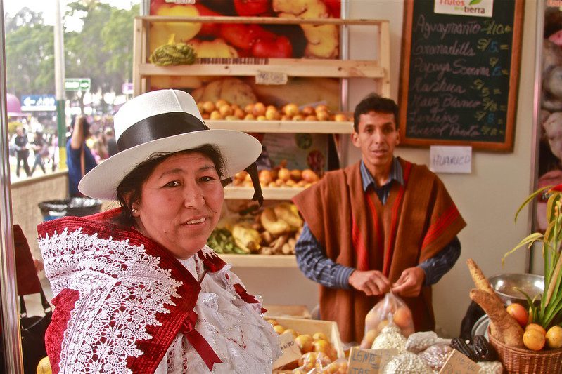 Gender Wage Gap in Peru