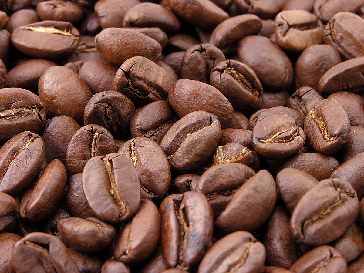 Generous Coffee Co.'s Purpose is Giving Back