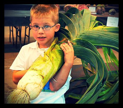 Giant Leek_opt
