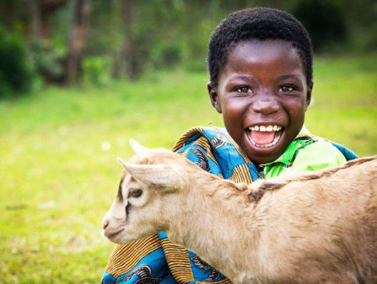 Goat Poop Poverty