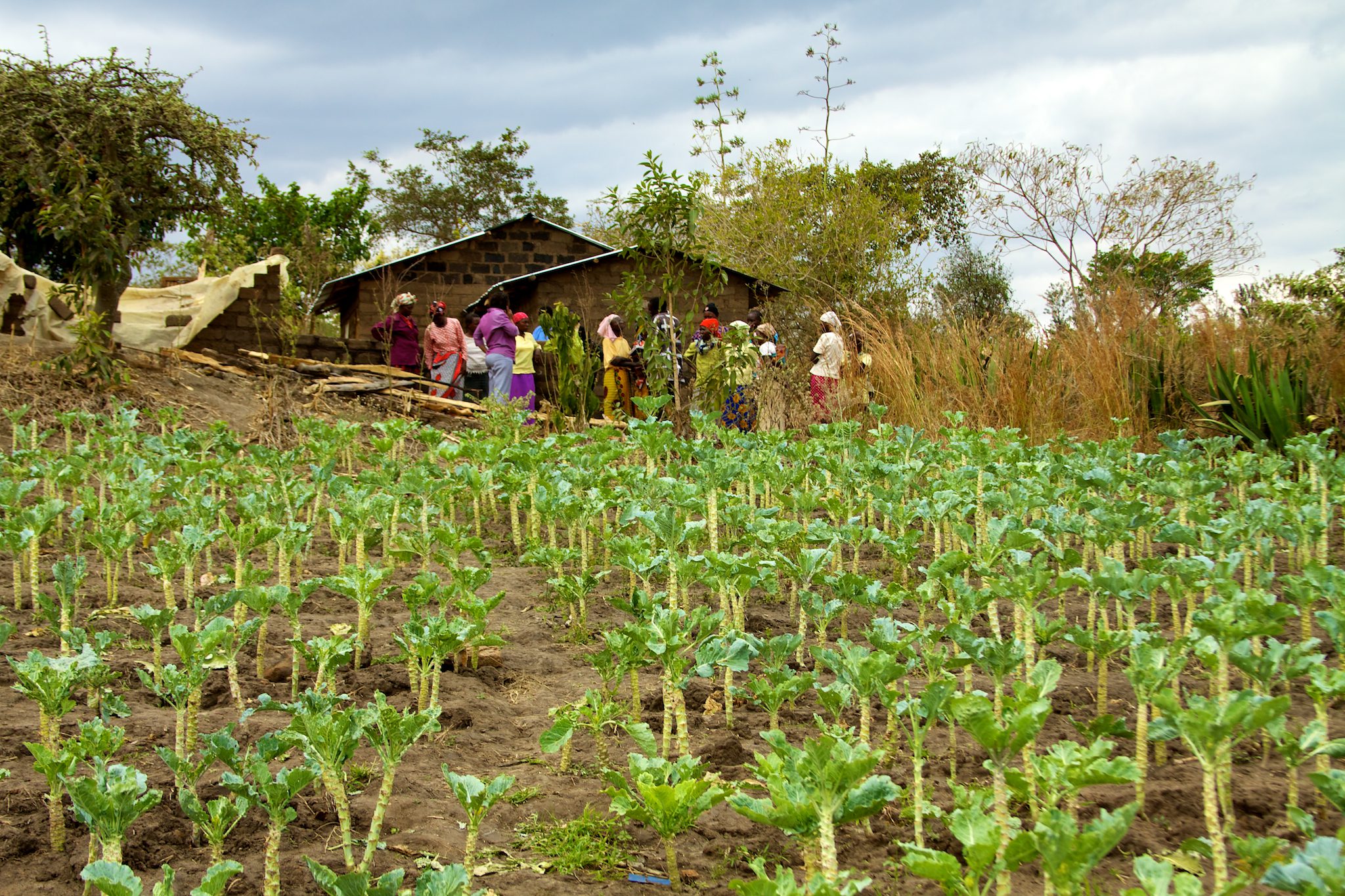 Health Improvements in Rural Kenya