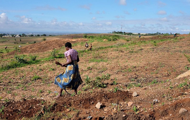 How Affordable Irrigation Technology Helps Farmers