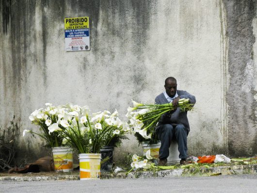 Tackling Brazil's Income Inequality