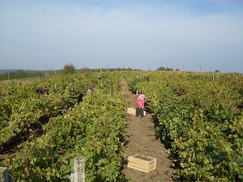 How Poverty Affects Everyday Life in Moldova