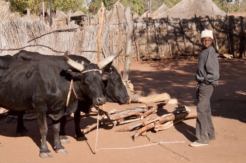 Hunger in Botswana