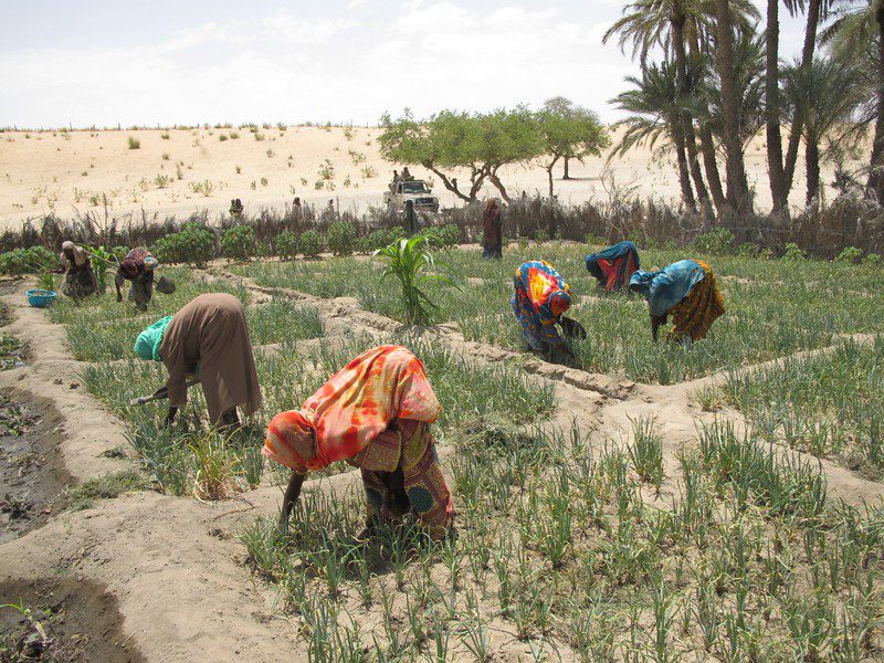 hunger in Chad
