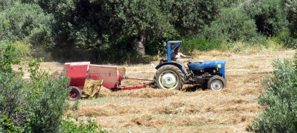 Hunger in Cyprus
