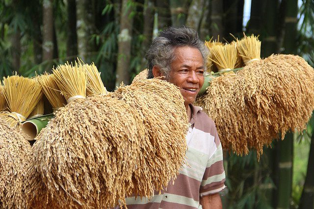 Hunger in Indonesia
