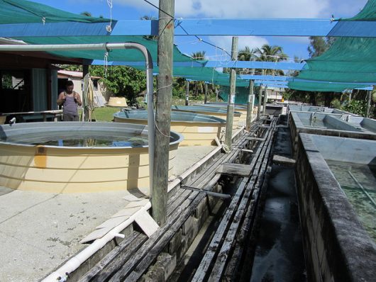 Hunger In The Cook Islands