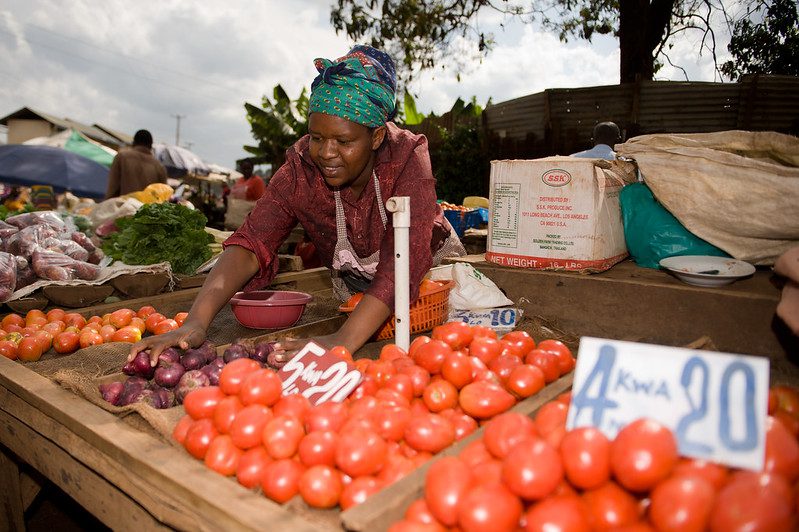 Hydroponics Fight Hunger
