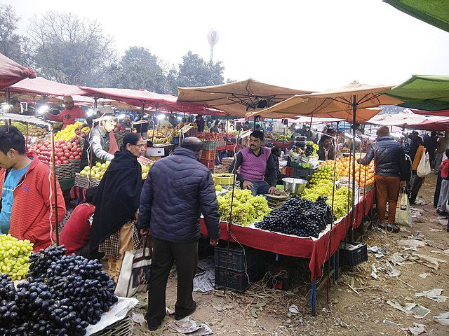 IFAD Plans to Alleviate Hunger