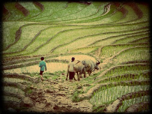 End Global Poverty