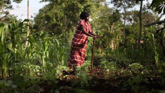 Indigenous Knowledge: Key to Coping with Climate Change?