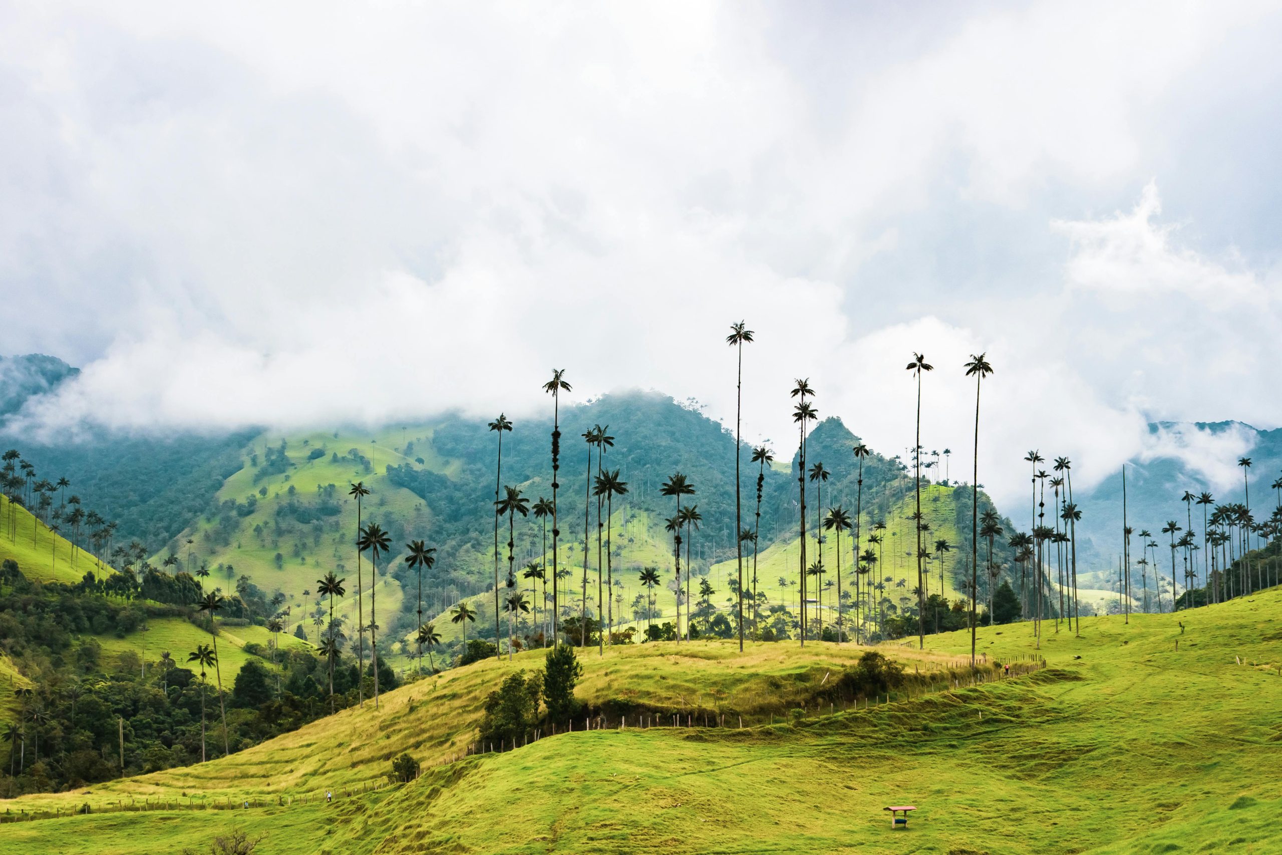 Innovations for Poverty Action