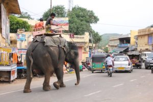 Internet Access in India