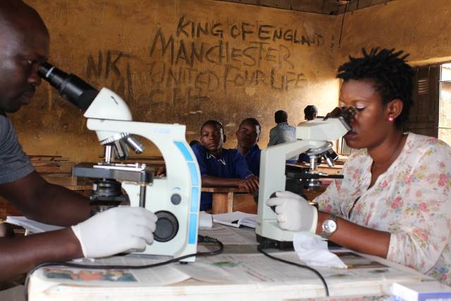 Intestinal Worm Research