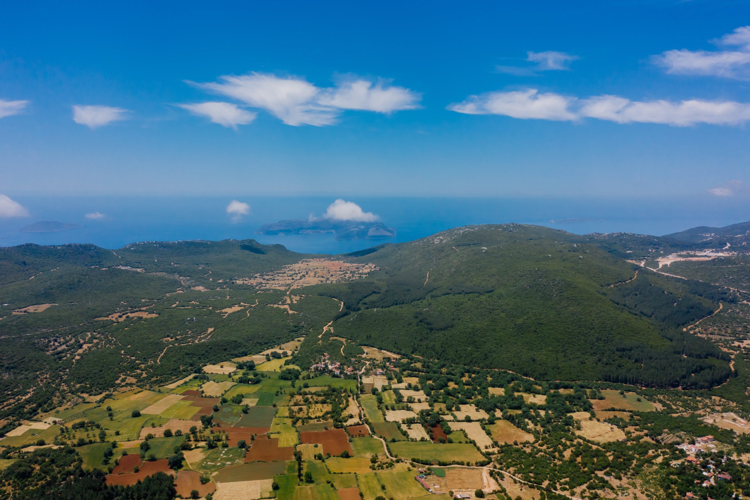 Kilimo Salama