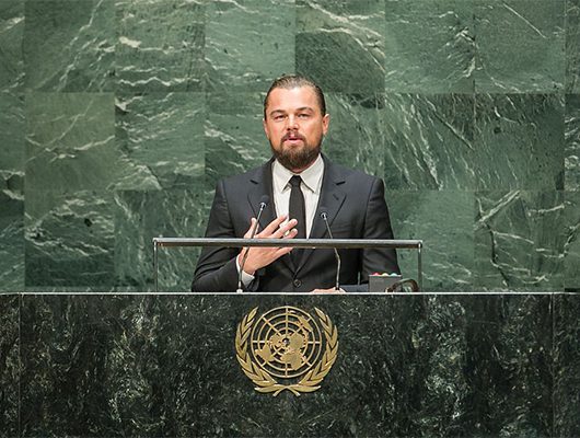 Leonardo_DiCaprio_Foundation