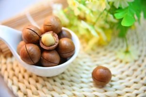 Macadamia Shell Briquettes