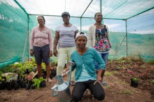 South-East Ladies Agro Collective