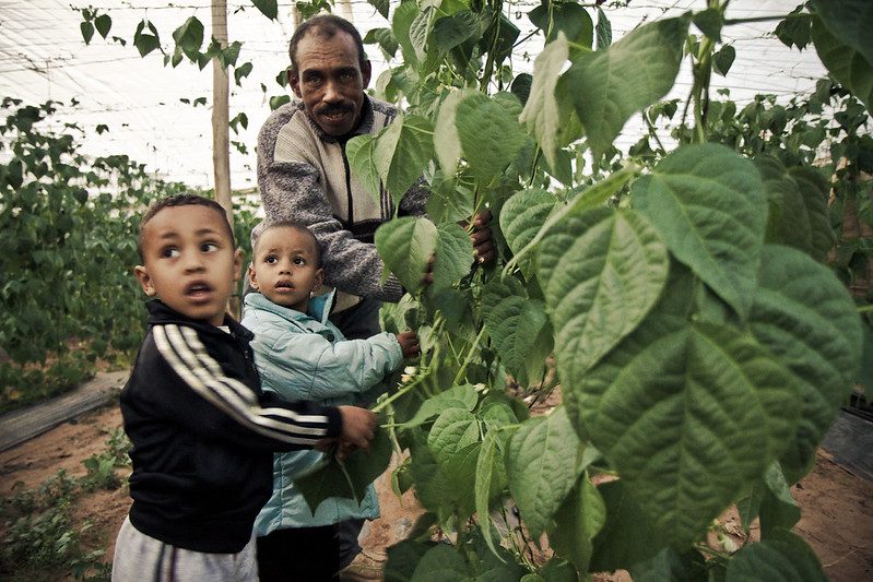 samis-project-how-children-in-morocco-are-breaking-cyclical-poverty