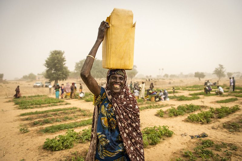 Life Expectancy in Niger