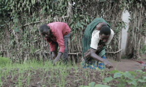 Poverty in Rwanda