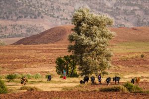 Poverty and Extreme Weather Patterns