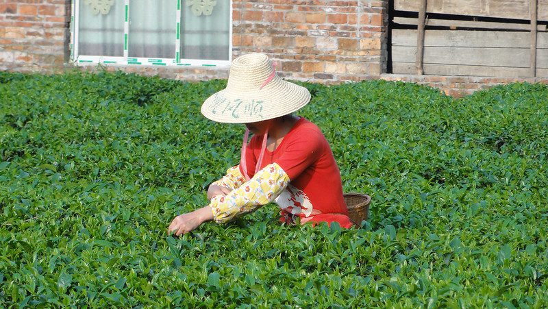 poverty in China