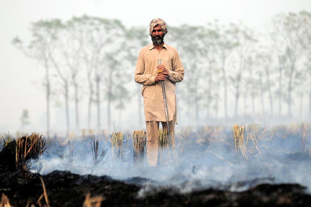 Poverty in Punjab