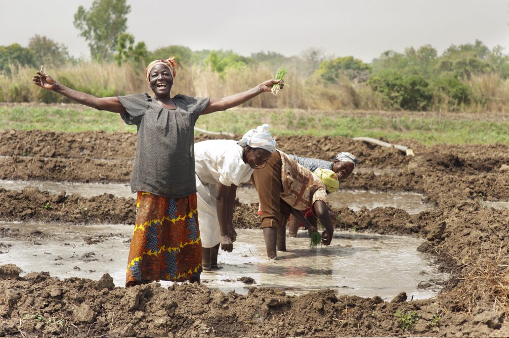 Food Security in Northern Ghana