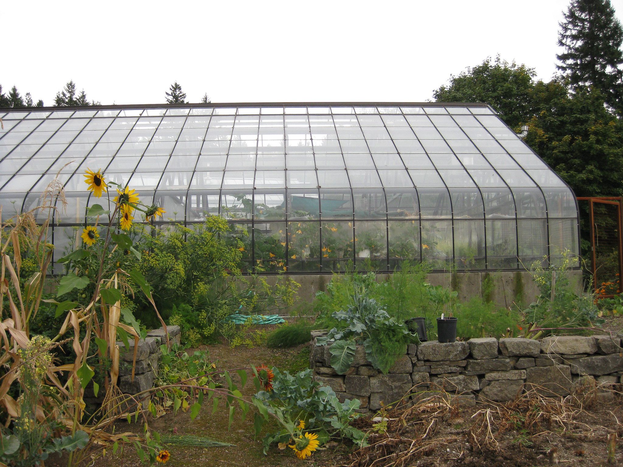 Reaching Sustainability