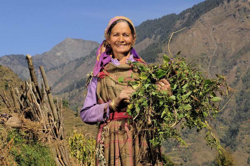 Regenerative Farming in India