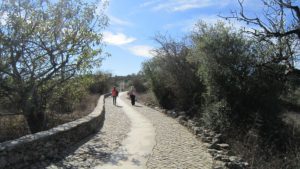 Rural Development in The Azores