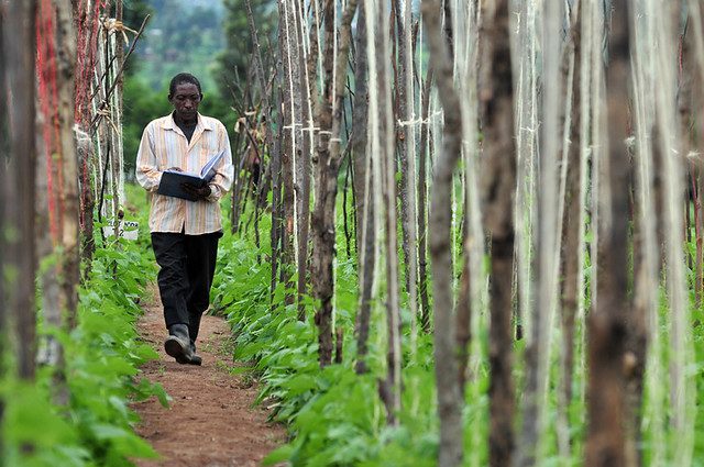 Rwanda is Growing Its Knowledge-Based Economy