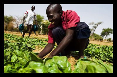 Small-Scale Farmers
