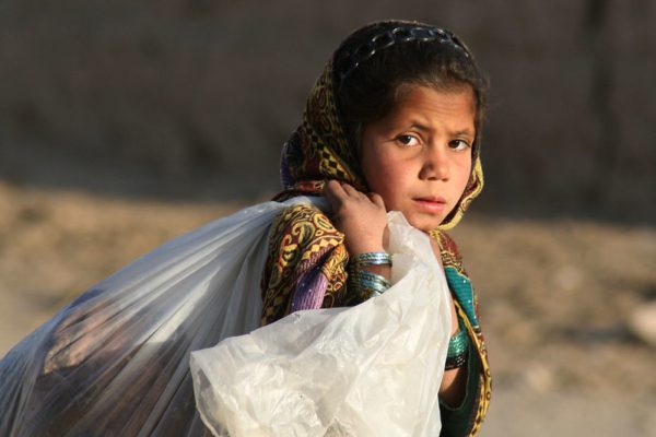 Social Justice Helps to Fight Social Challenges