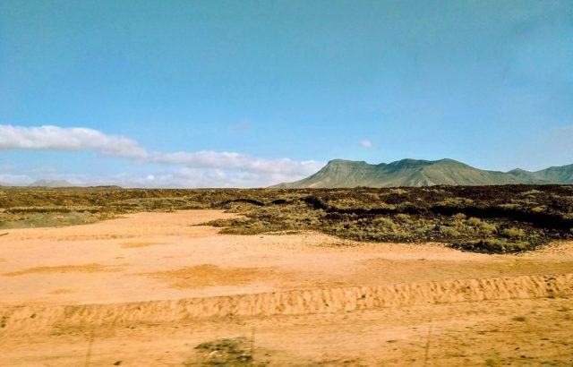 Solutions to Desertification