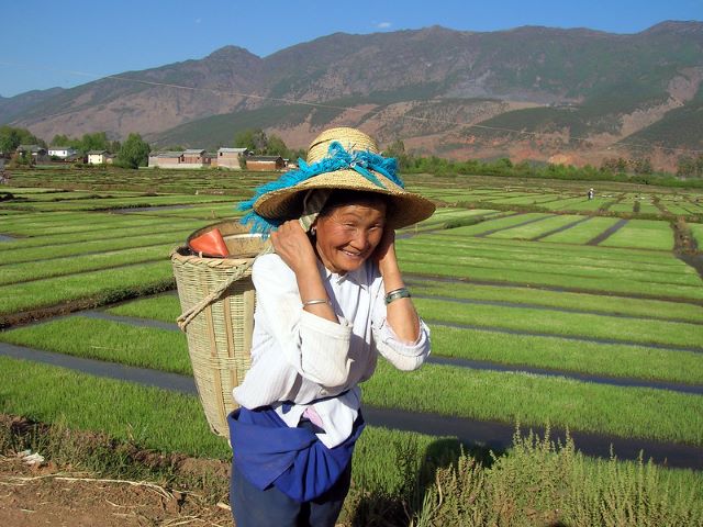 Solve Rural Poverty