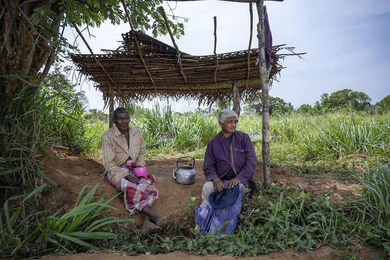 Disease in Sri Lanka