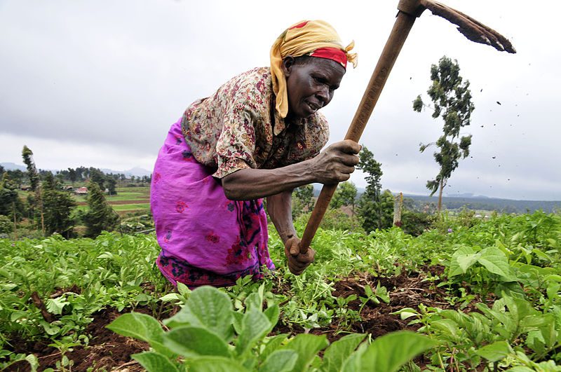 Sub-Saharan Africa and UNICEF