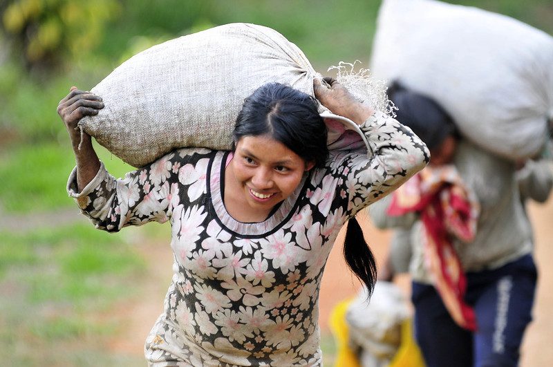 Supporting Smallholder Coffee Farmers Worldwide