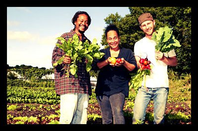 sustainable_food