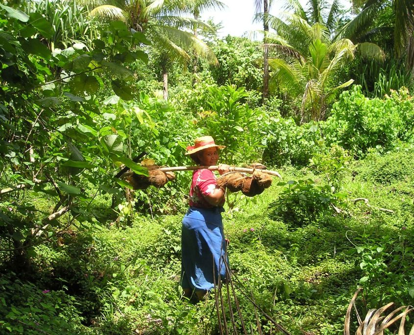 Sustainable Land Management