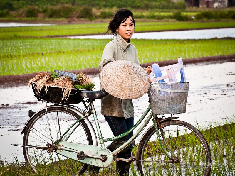 Sustainable Rice Production
