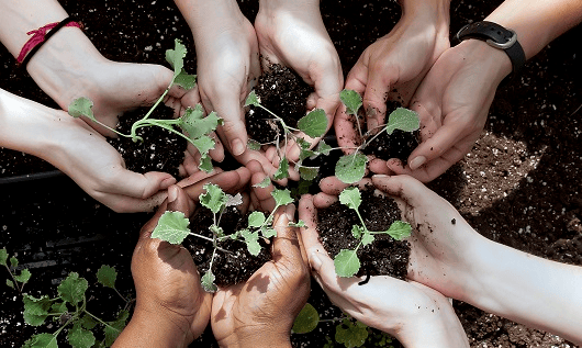 Sustainable