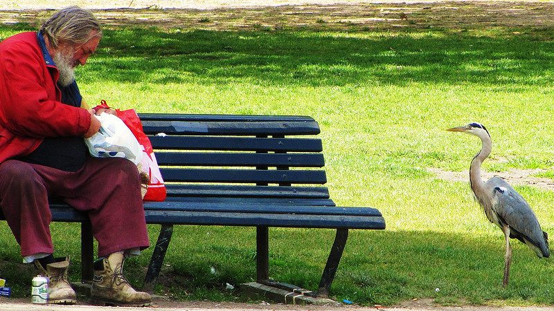 Tackling Poverty in the Netherlands