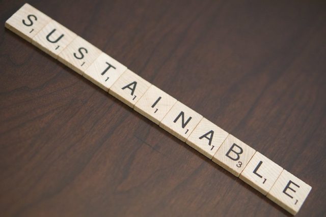 Technological Sustainability