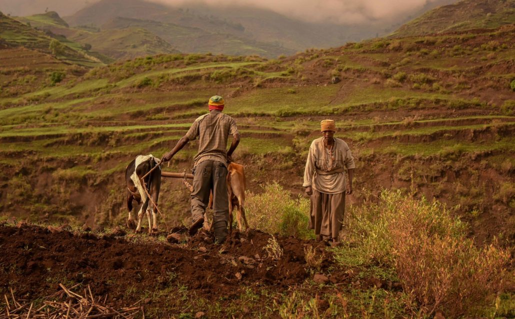 The International Development Association