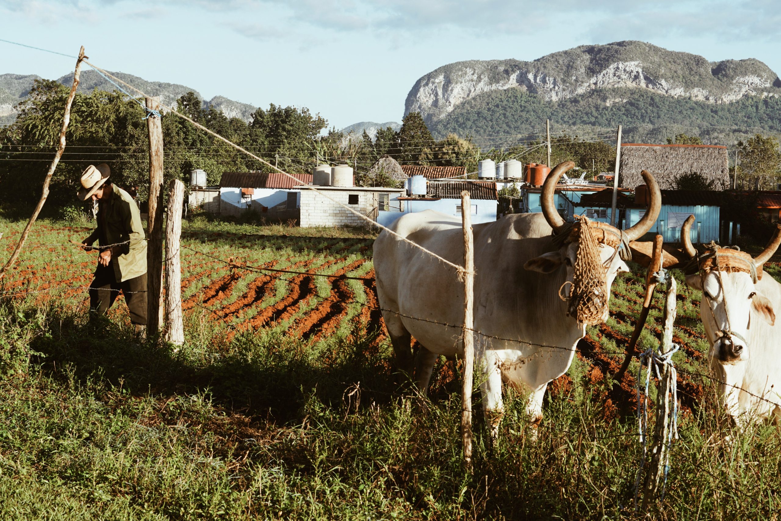 USAID Programs in Cuba